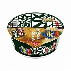 日清のどん兵衛　きつねうどん　東日本版　１２個入