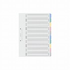 カラー仕切カードＰＰ　Ａ４縦　１０山　１組