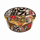 日清のどん兵衛　肉うどん　全国版　１２個入