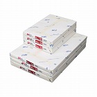 ＰＯＤグロスコート紙＜１００＞Ａ３　２５０枚