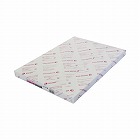 Ｎｃｏｌｏｒ０８１　Ａ３　１冊（２５０枚）×５冊