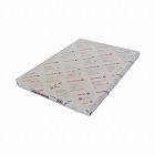 Ｎｃｏｌｏｒ０８１　Ａ３ノビ　１冊（２５０枚）×５