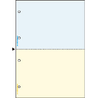 マルチプリンタ帳票　Ａ４　カラー２面４穴　１００枚