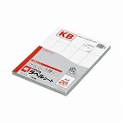 ＰＰＣ用　紙ラベル　Ａ４　２０面　１００枚