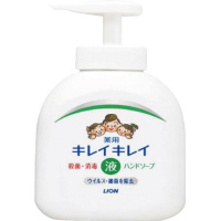 キレイキレイ薬用ハンドソープ　本体　２５０ｍｌ