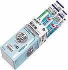 修正液ボールケスパケアペンタイプ業務用１０本入