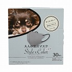 大人の贅沢マスクスタイル×カラー３０枚ＬＧ