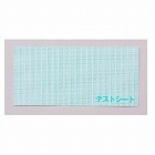 純正　ＦＡＣＴテスト券（万円券）　０４３０６３０