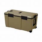 アイセル　＃５５　サンドベージュ