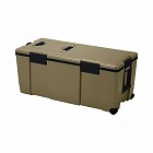 アイセル　＃７５　サンドベージュ