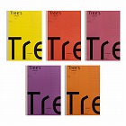 ノート　Ｔｒｅｅｓ　Ｂ５　Ｐメモリ　Ａ罫　５冊束