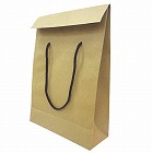 ギフト蓋付きペーパーバッグ　１パック（１０枚入）