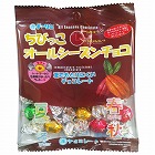 ちびっこオールシーズンチョコ　２０ｇ×３