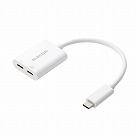 ＵＳＢ‐Ｃ　変換アダプタ　１００Ｗ　ホワイト