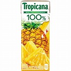 トロピカーナパインアップル　２５０ｍｌ　２４本×２