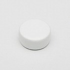 φ１８ｍｍ　マグネット（白／２０個）