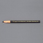 ［現場用］　油性色鉛筆（黒／２本）