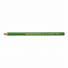 油性色鉛筆（１２本／黄緑）