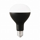 ２５Ｗ／口金Ｅ３９　作業灯用ＬＥＤ球