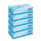 ティシュペーパー（アクアヴェール／５箱）