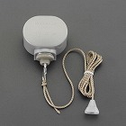 ３００Ｖ／　３Ａ　キャノピスイッチ