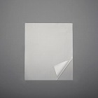 ３９０ｘ　４７０ｍｍ　防犯フィルム（２枚）