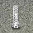 Ｍ６ｘ３０ｍｍ　小ねじ（ポリカーボネート／２０本）