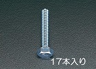 Ｍ１０ｘ５０　ｍｍ　六角頭全ねじボルト（ユニクロメッキ／１７本）