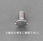 Ｗ３／１６ｘ１２ｍｍ　皿頭小ねじ（ステンレス／１０本）