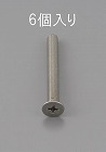 Ｍ４　ｘ３５ｍｍ　皿頭小ねじ（ステンレス製／６本）