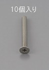 Ｍ５　ｘ１０ｍｍ　皿頭小ねじ（ステンレス製／１０本）