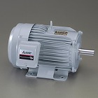 ＡＣ２００Ｖ・３．７　ｋｗ　三相モーター（全閉外扇・屋内形）