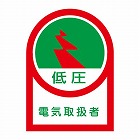 ３５ｘ２５ｍｍ　ヘルメットステッカー（電気取扱者／１０枚）