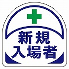３５ｘ３５ｍｍ　識別バンド用ステッカー（新規入場者／２枚）