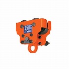 ０．２５ｔｏｎ　プレーントロリー