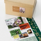 【サンワサプライ】下地が透けないマルチラベル（名刺サイズ）