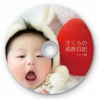 【サンワサプライ】インクジェットフォト光沢DVD・CDラベル（内径24mm・フォト光沢・20シート）