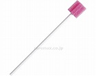 サクラ　50本入