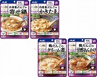 バランス献立　容易にかめるセット／おかず４種×６個