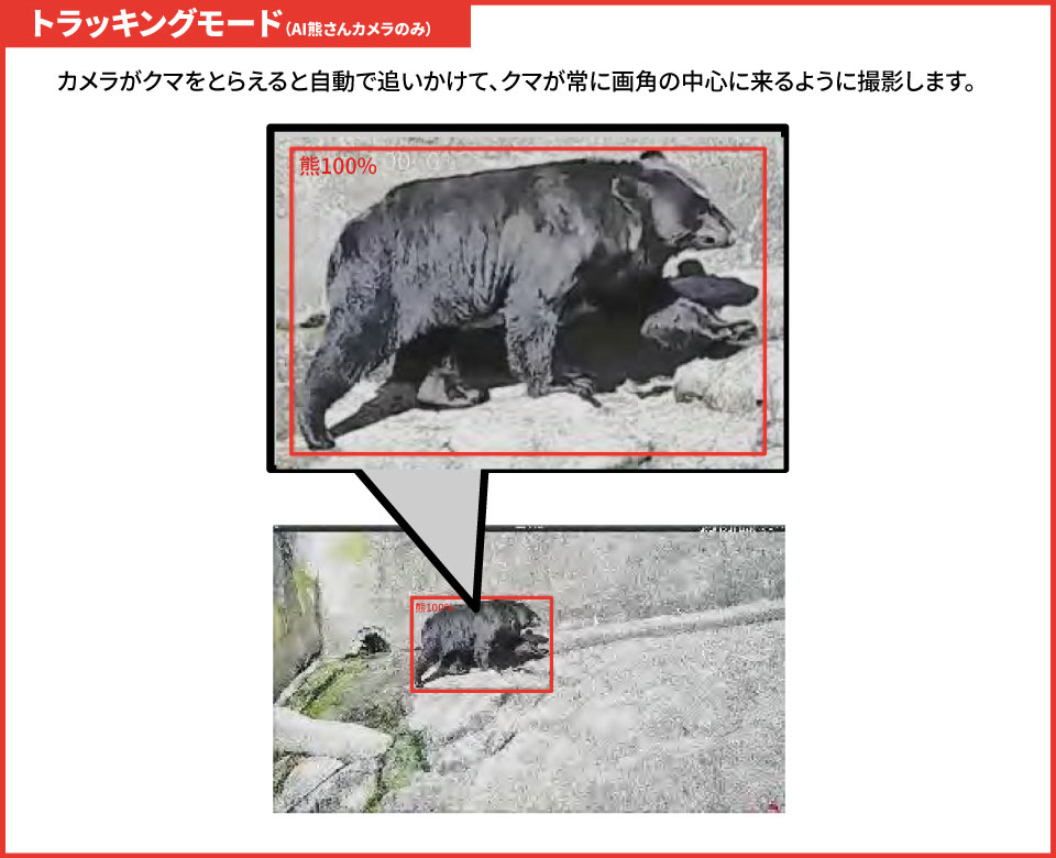 カメラが熊を捉えると自動で追いかけて、熊が常に画角の中心に来るように撮影するトラッキングモード搭載。